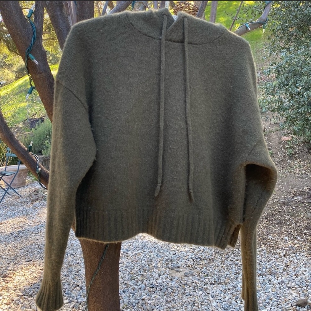 Aritzia cashmere hoodie
